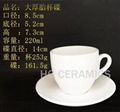 Coffee cup & saucer