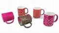 Crack glaze mug 