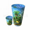 Doubal Side  Decal pint glass  1