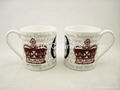 Ash  fine bone china mug ,10oz 1