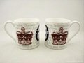 Ash  fine bone china mug ,10oz
