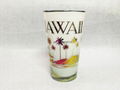 HAWAII glass mug  5