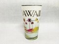 HAWAII glass mug 