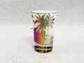 HAWAII glass mug  6