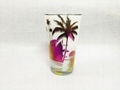 HAWAII glass mug 