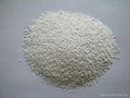 DCP (Dicalcium Phosphate) 2