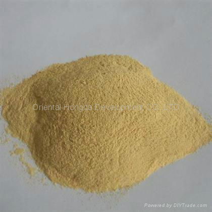 Yeast Powder