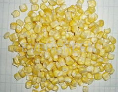 Freeze Dried Sweet Corn