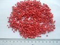Freeze Dried Raspberry Granules