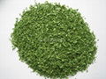 FREEZE DRIED parsley leaves