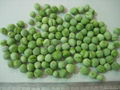 Freeze Dried Green Pea