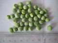 Freeze Dried Green Pea 2