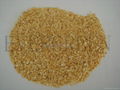 AIR DRIED GARLIC GRANULES 3