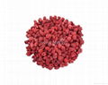 Freeze Dried Raspberry Whole