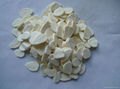 Freeze Dried Garlic Flakes 1