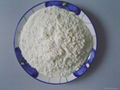 Freeze Dried Garlic Powder 1