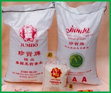 Live jasmine free chat