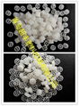 Suspended carrier biofilm process(SCBP)