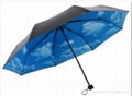 fold umbrella 5