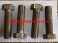 Hastelloy C276 bolts UNS N10276 2.4819 NS333