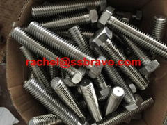 904L bolt hex bolt hex cap screw 1.4539 UNS N08904 fastener