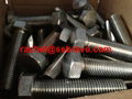 SAF2205 Hex bolt cap screw F21 S31803 1.4462  1