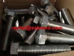 SAF2205 Hex bolt cap screw F21 S31803 1.4462 