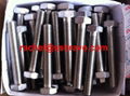 1.4529 Hex bolt full thread UNS N08926 Alloy926 Incoloy926 