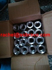 316L DIN1.4404 DIN985 Nylon Lock Nut