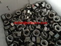 AL6XN DIN934 Hex Nut Stainless Steel