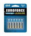 Alkaline Battery AAA size LR03 2