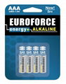 Alkaline Battery AAA size LR03 3