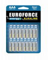 Alkaline Battery AAA size LR03 4