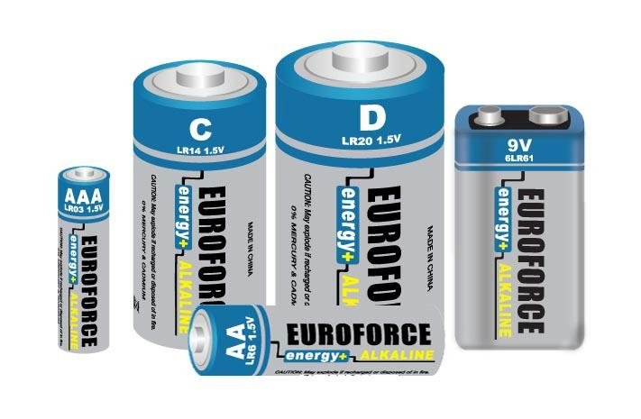 Alkaline Battery D size LR20 3