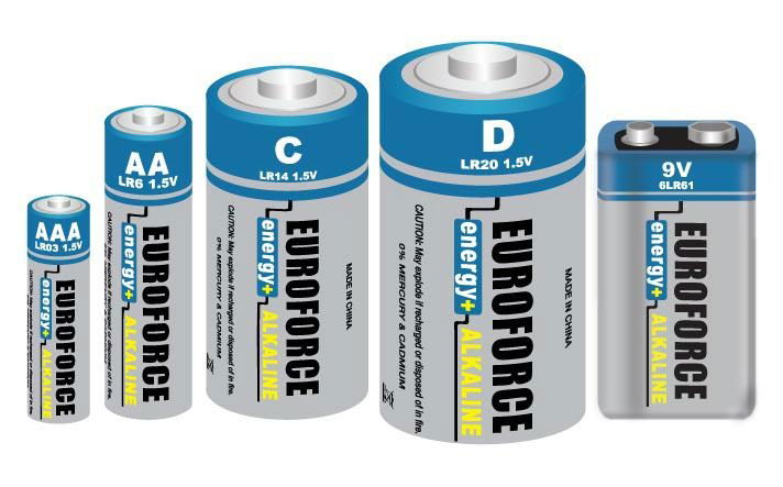 Alkaline Battery D size LR20 5