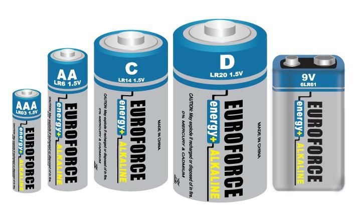 Alkaline Battery C size LR14 5