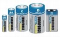 Alkaline Battery C size LR14 5