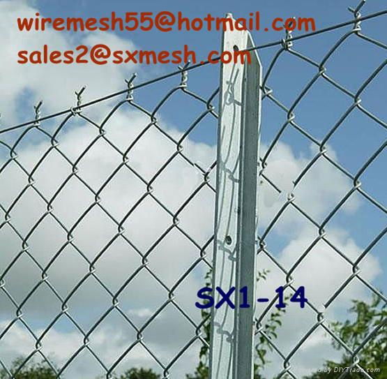 chain link fence（PVC coated1.8mm*30*30mm*1m*3m） 2
