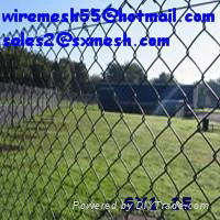 chain link fence（PVC coated1.8mm*30*30mm*1m*3m） 3