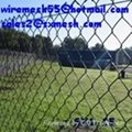 chain link fence（PVC coated1.8mm*30*30mm*1m*3m） 3