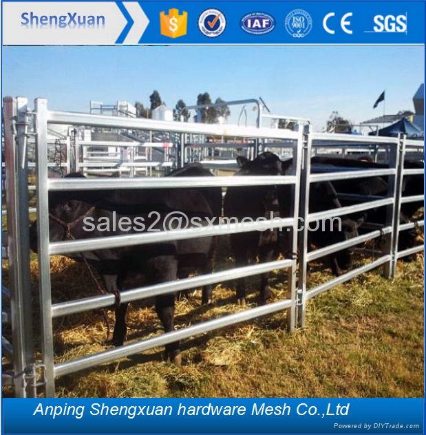 cattle fence hot sales horse fence livestock fence 23 years china fatory