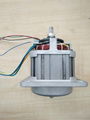 High Speed Blender BLDC Motor 76ZWN220-850-01 and drive units