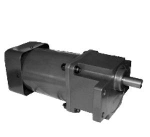 AC GEAR MOTOR 5