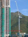Luffing tower crane SCM-D228 3