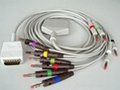   Electrocardiograph Cable 2