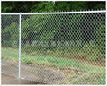 Chain Link Fence 5