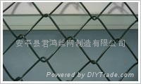 包塑勾花网 3