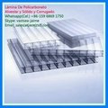 Swimming Pool sheet multicell honeycomb polycarbonate sheet