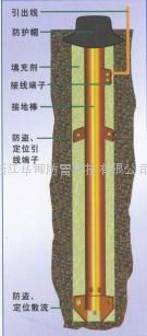 電解離子極