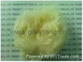 Soybean Protein Fiber